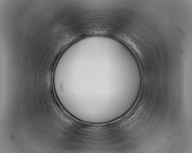 X0000112110537200908041153