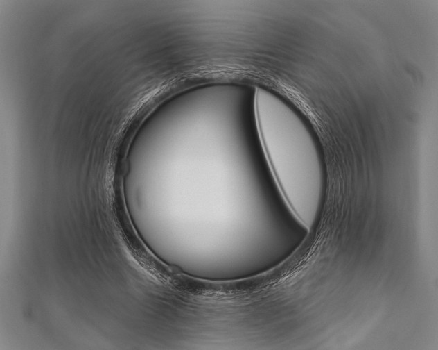 X0000112110538200908041153