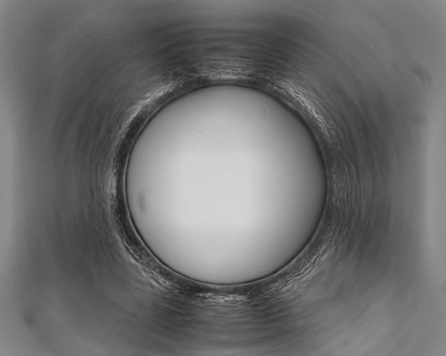 X0000112110539200908041153