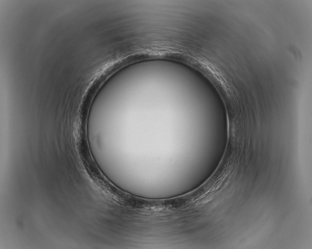X0000112110540200908041153