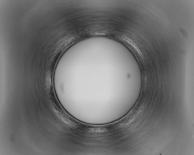 X0000112110541200908041153
