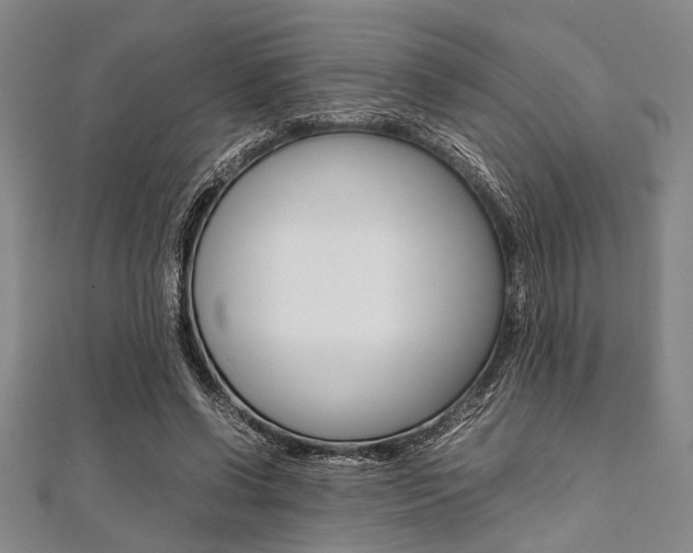 X0000112110542200908041153