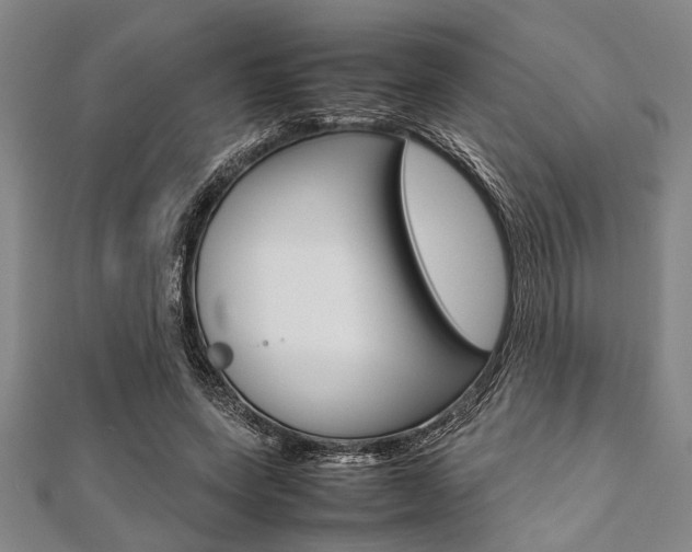 X0000112110543200908041153