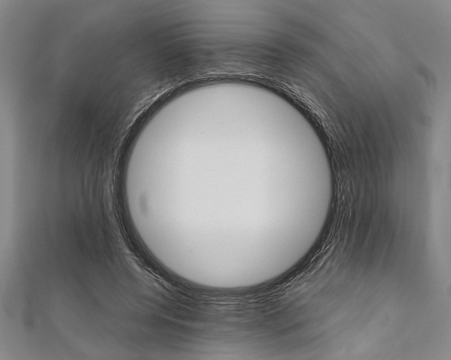 X0000112110544200908041153
