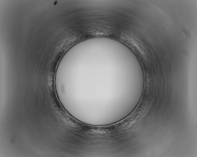 X0000112110545200908041153