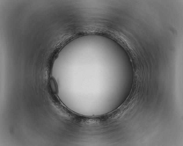 X0000112110546200908041153