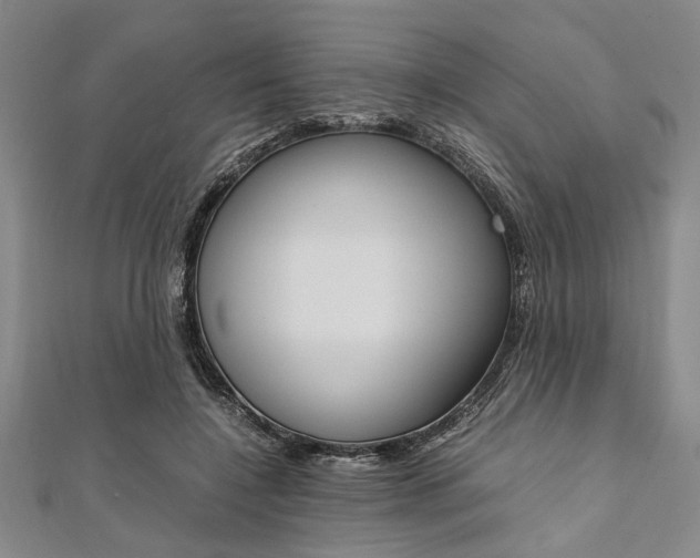 X0000112110548200908041153