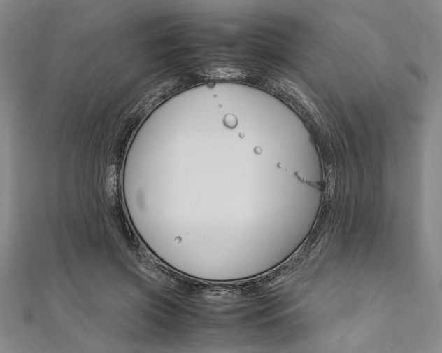 X0000112110549200908041153