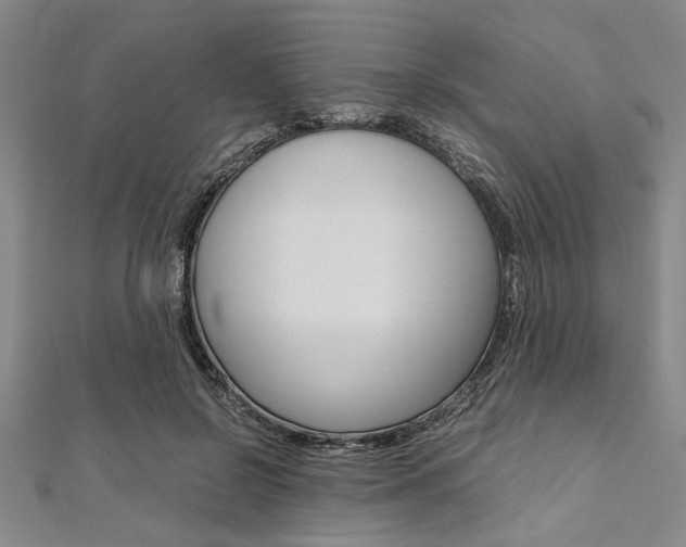 X0000112110550200908041153