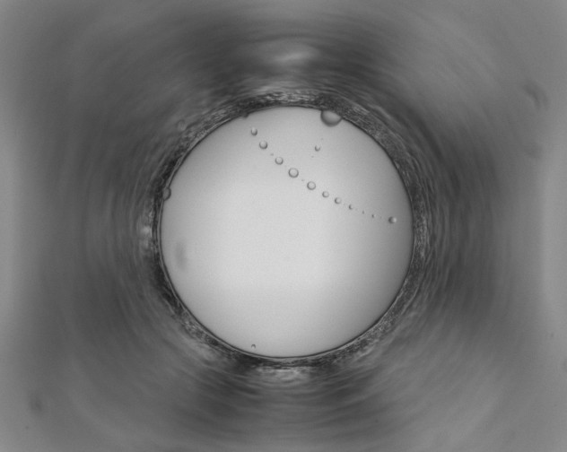 X0000112110553200908041153