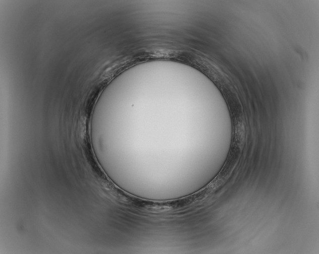 X0000112110554200908041153