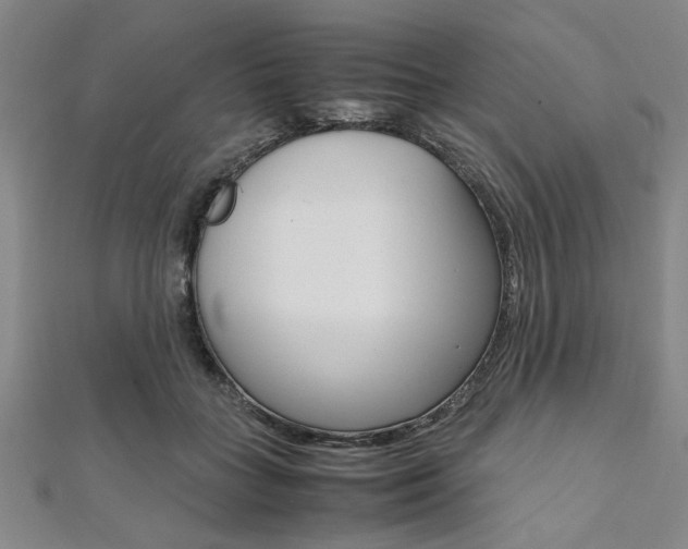 X0000112110555200908041153