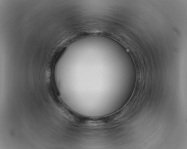 X0000112110556200908041153