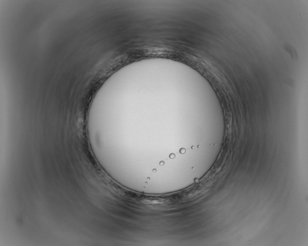 X0000112110557200908041153