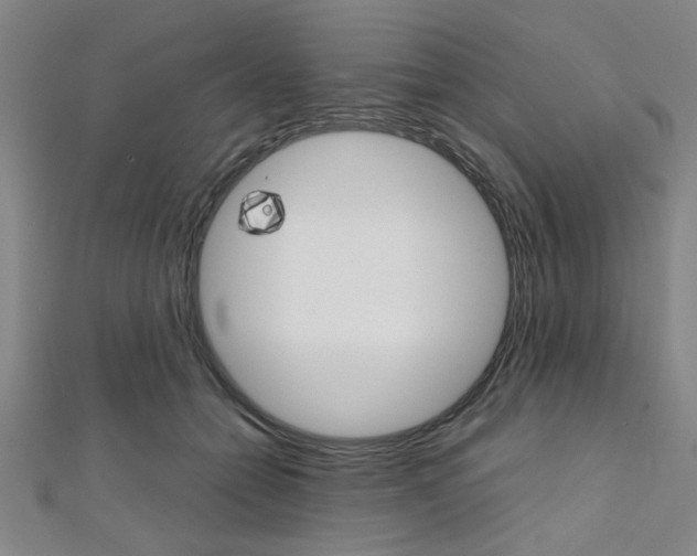 X0000112110558200908041153
