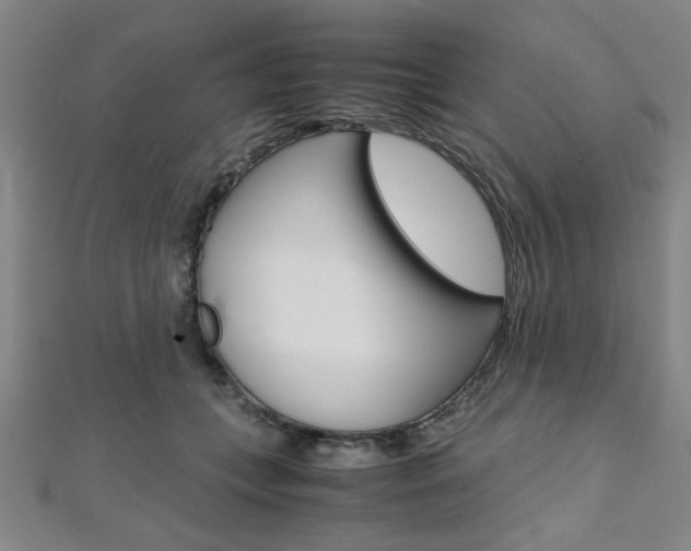 X0000112110559200908041153