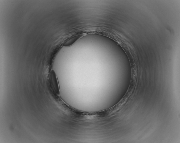 X0000112110560200908041153