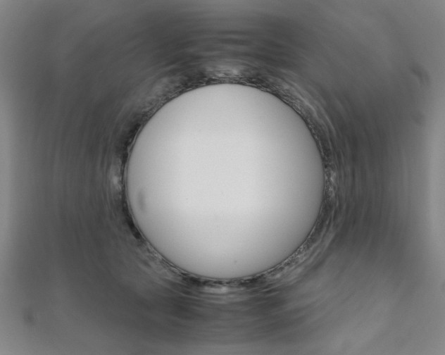 X0000112110561200908041153