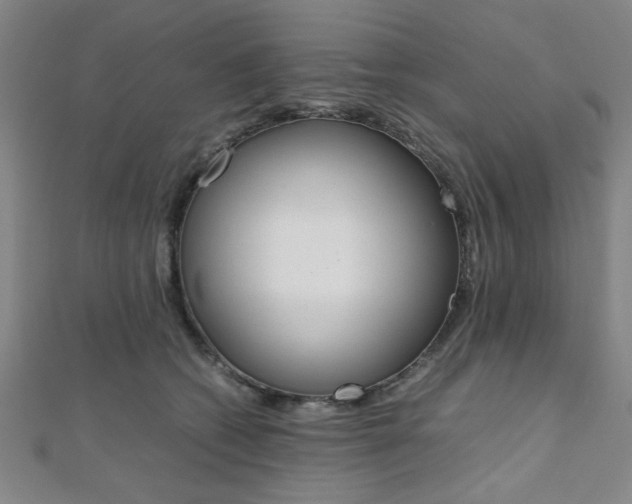 X0000112110562200908041153