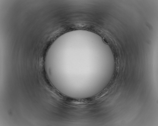 X0000112110563200908041153