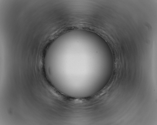 X0000112110566200908041154