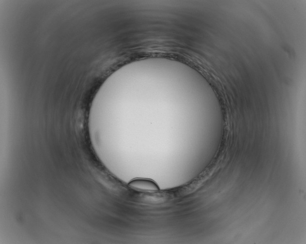 X0000112110567200908041154