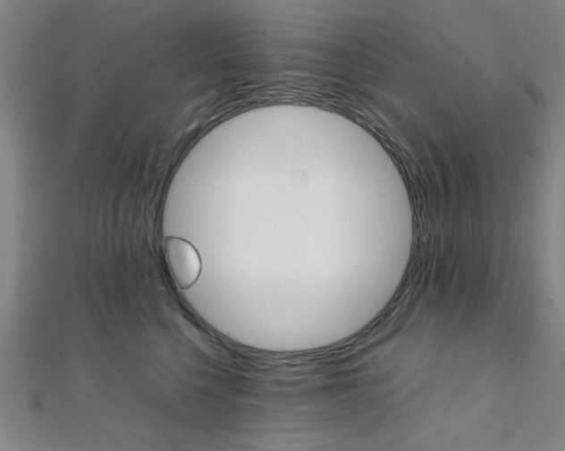 X0000112110568200908041154