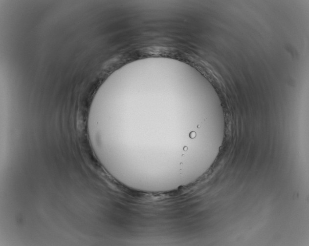 X0000112110569200908041154