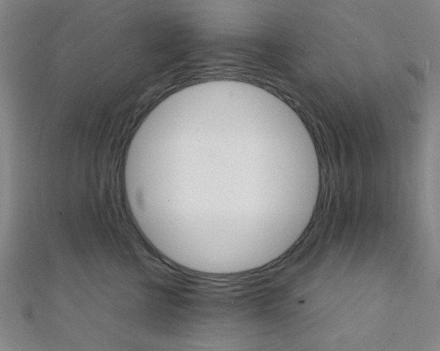 X0000112110570200908041154