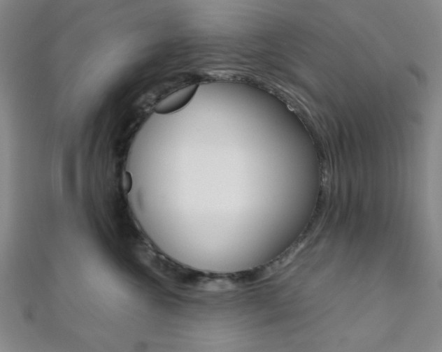 X0000112110572200908041154