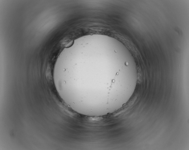 X0000112110573200908041154