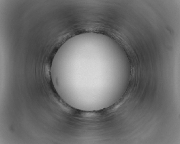 X0000112110575200908041154