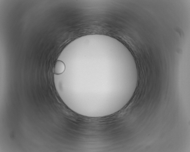 X0000112110576200908041154