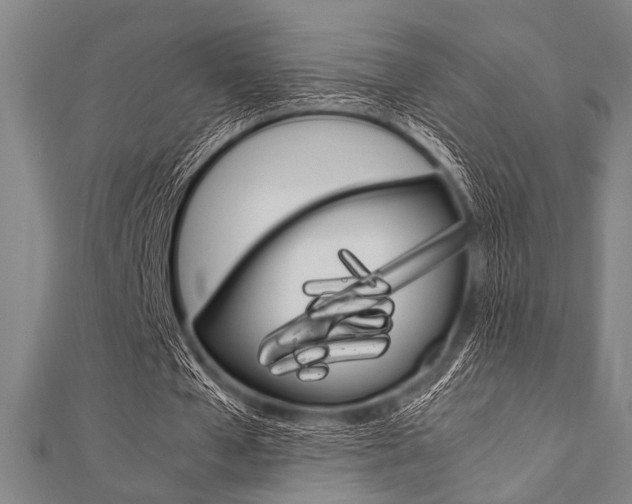 X0000112110577200908041153