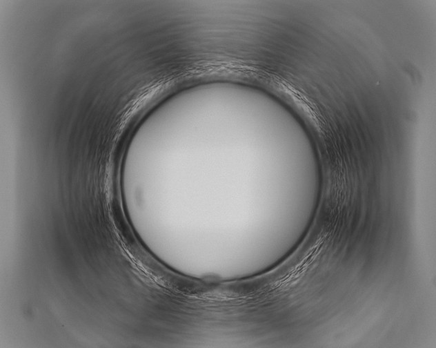 X0000112110578200908041153