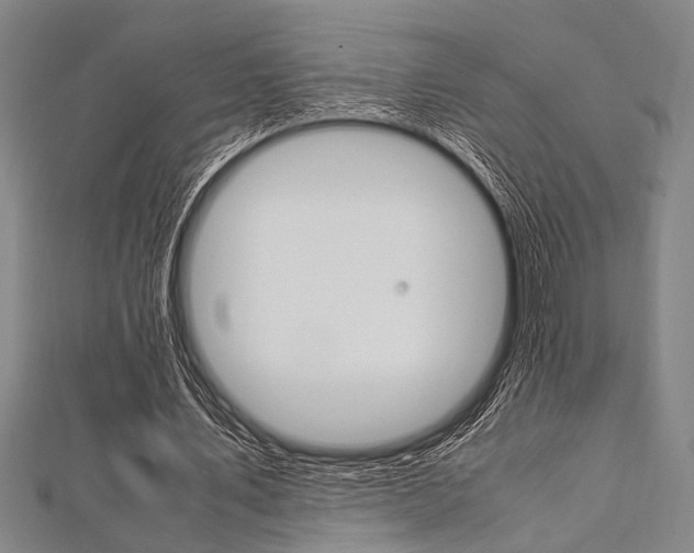 X0000112110579200908041153
