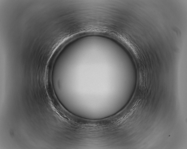 X0000112110580200908041153