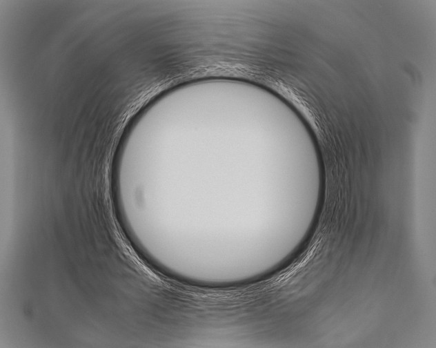 X0000112110581200908041153