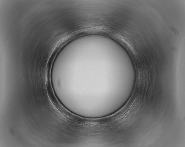 X0000112110582200908041153
