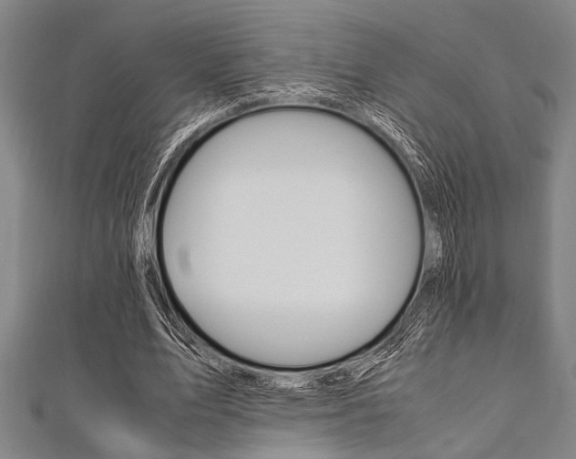 X0000112110583200908041153