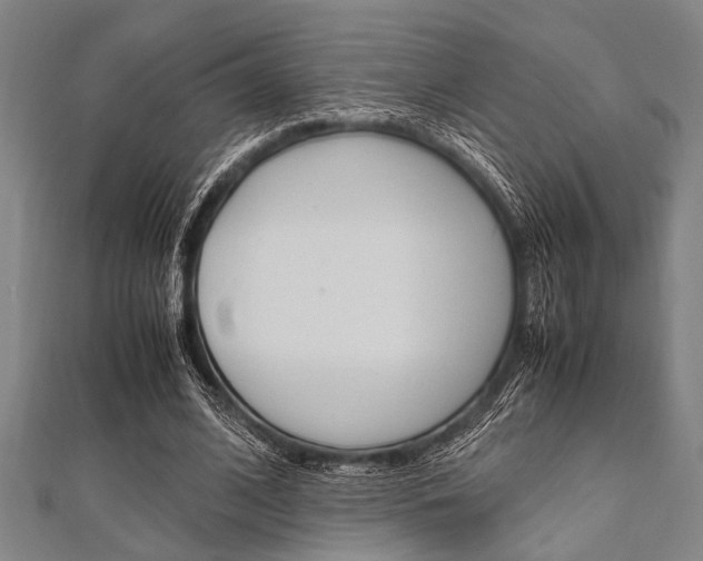 X0000112110584200908041153