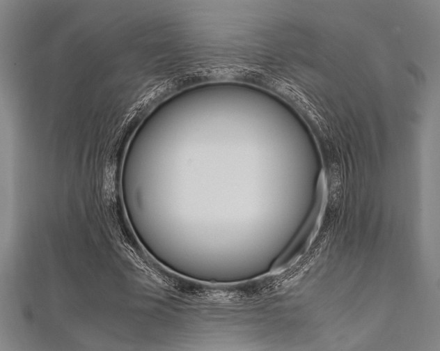 X0000112110585200908041153