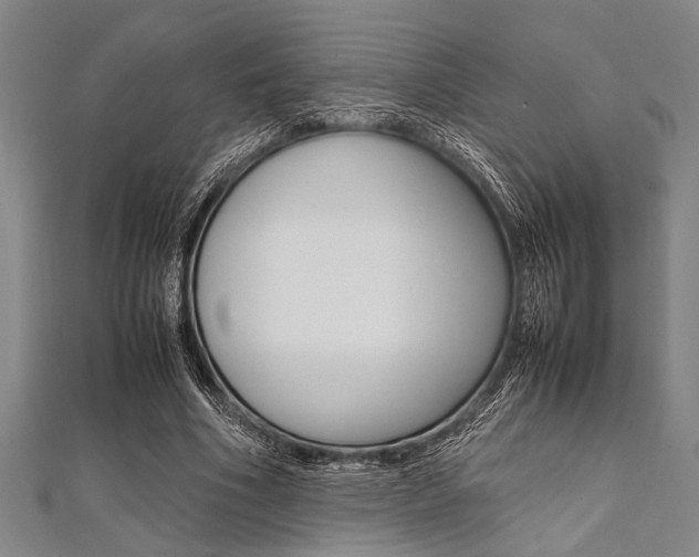 X0000112110586200908041153