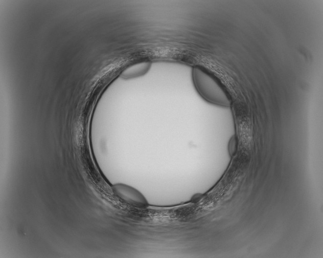 X0000112110587200908041153
