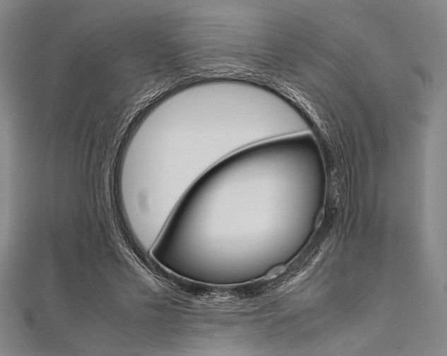X0000112110589200908041153