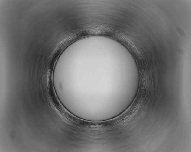 X0000112110590200908041153