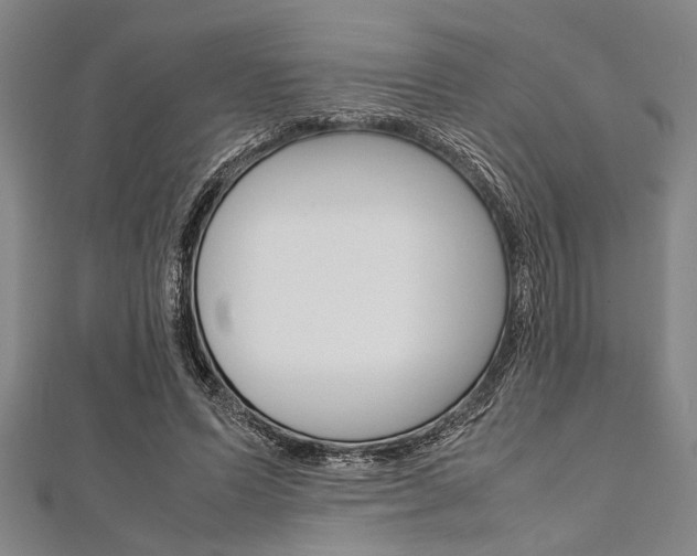 X0000112110591200908041153