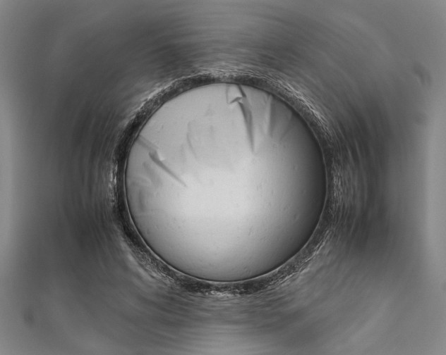 X0000112110592200908041153