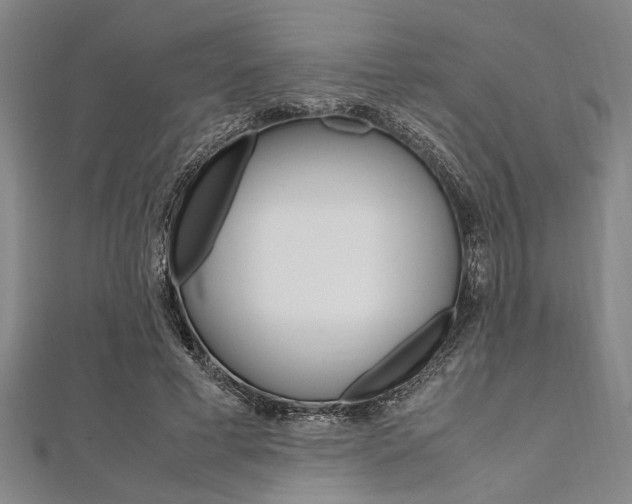 X0000112110593200908041153