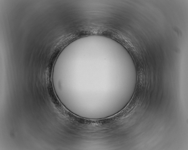 X0000112110594200908041153